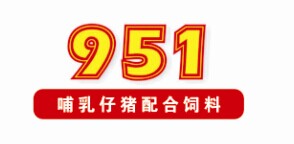 951ĸ